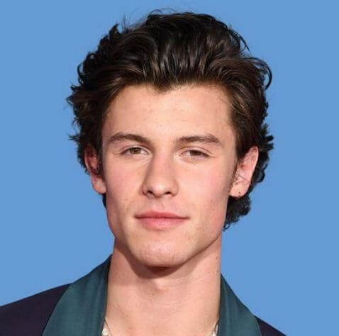 Aaliyah Mendes's brother, Shawn Mendes.